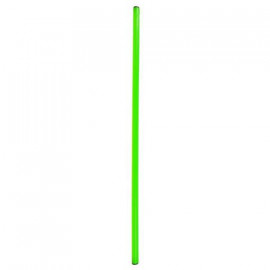 Laska gimnastyczna NO10 120cm (zielona)